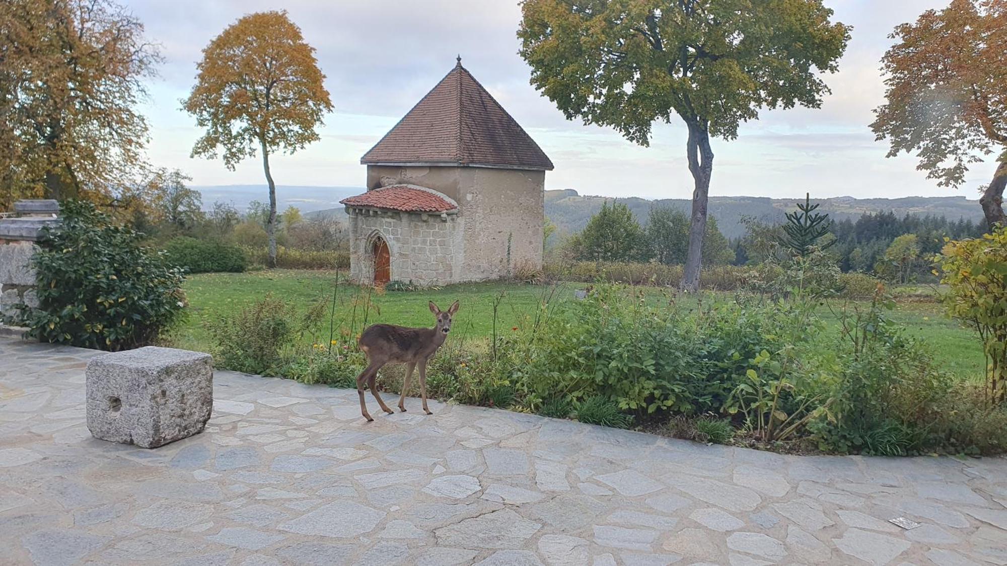 Domaine De Montvianeix Bed & Breakfast Saint-Victor-Montvianeix Bagian luar foto